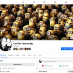 France Facebook Account With 176 Friends